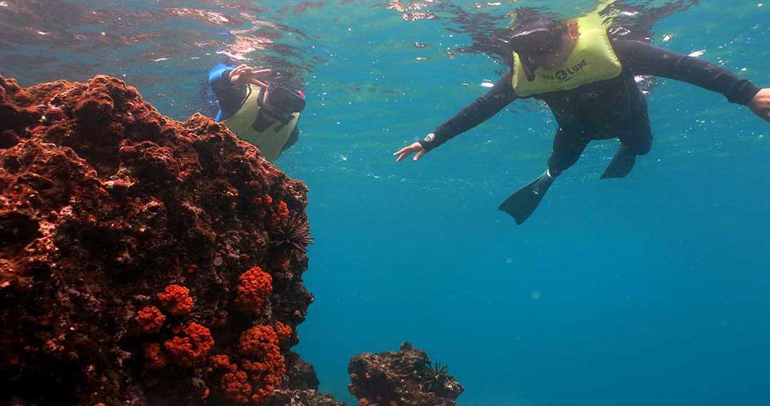 Galaxy Diver. Diving cruise in the Galapagos Islands