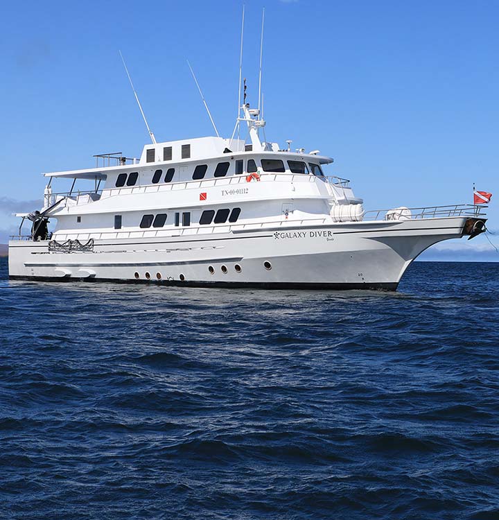 Galaxy Diver. Diving cruise in the Galapagos Islands