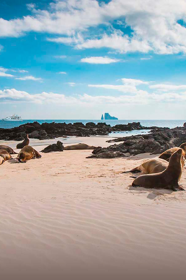 Galapagos safety paradise - Galagents