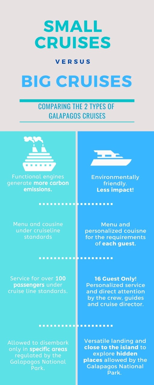 Small Vessels vs Cruise Lines - Galagents Blog