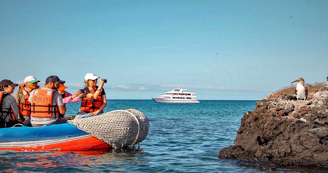 Galaxy Diver. Diving cruise in the Galapagos Islands