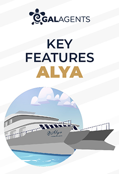Key Features Alya