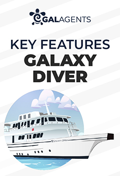 Key Features Galaxy Diver