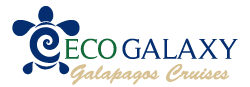 Logo Ecogalaxy Catamaran